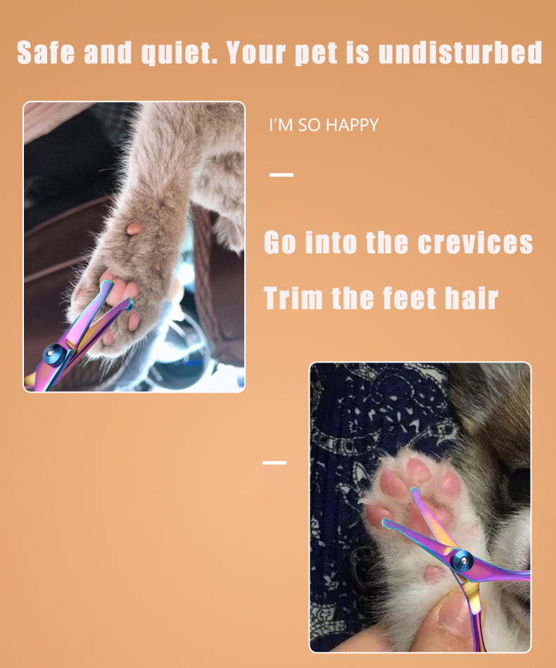 안전한 둥근 머리 스테인리스 애완동물 가위, 개와 고양 - Grooming Scissors 리뷰 및 가격