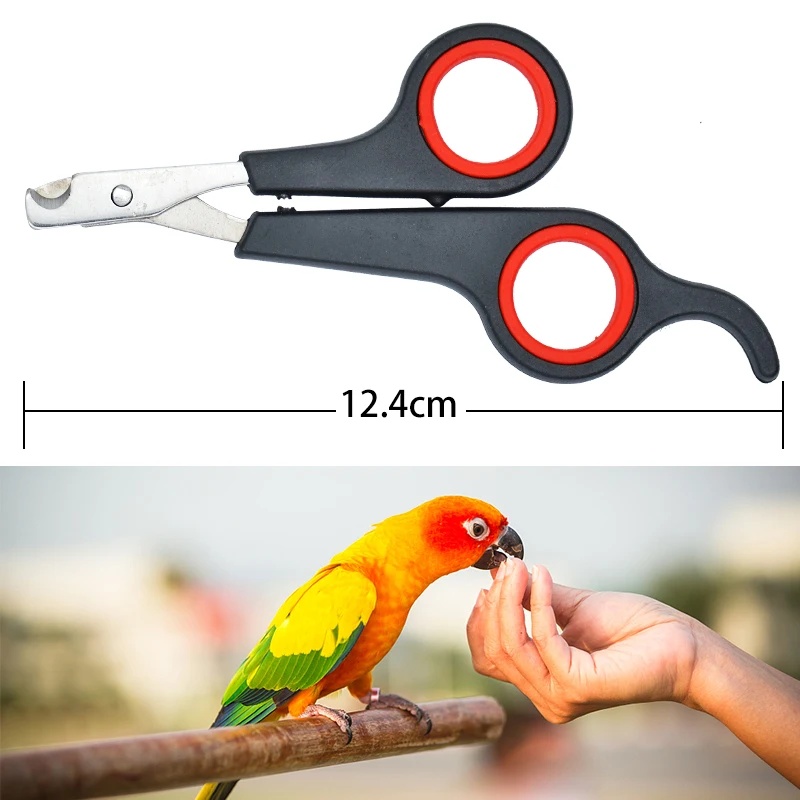 12cm 애완용 앵무새 발톱 가위 강아지 고양이 발톱  - Grooming Scissors 리뷰 및 가격